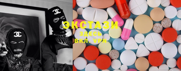 шишки Няндома