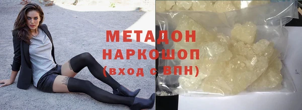 шишки Няндома