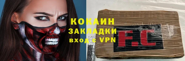 ПСИЛОЦИБИНОВЫЕ ГРИБЫ Новозыбков