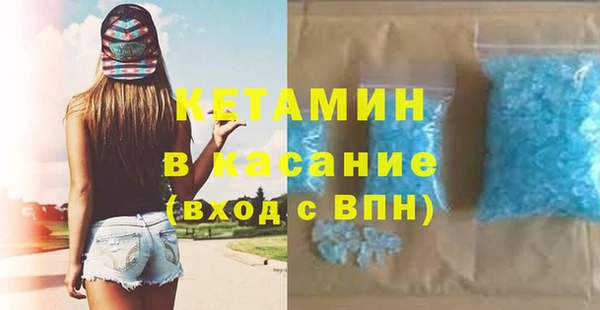 шишки Няндома