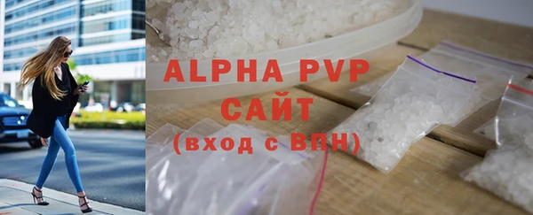 шишки Няндома