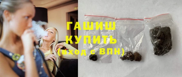 шишки Няндома
