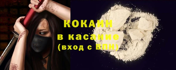 шишки Няндома