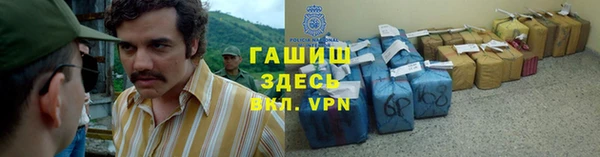 ПСИЛОЦИБИНОВЫЕ ГРИБЫ Новозыбков