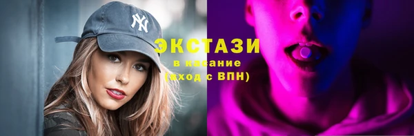 шишки Няндома