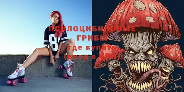 круглые Новодвинск