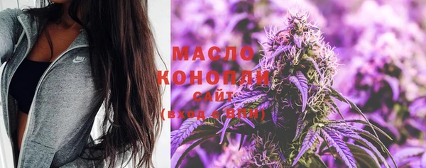 ПСИЛОЦИБИНОВЫЕ ГРИБЫ Новозыбков