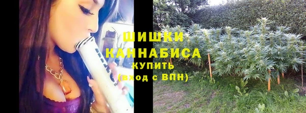 шишки Няндома