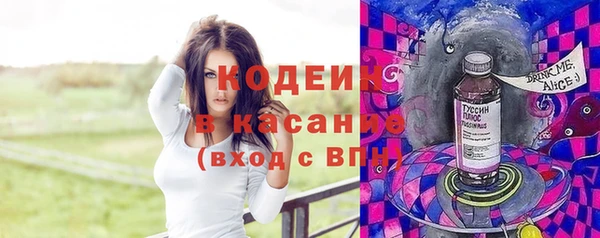 шишки Няндома