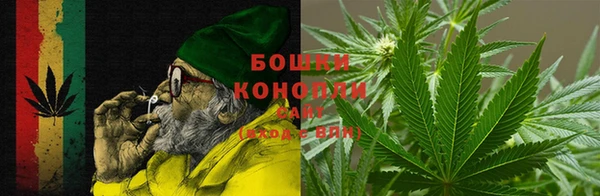 шишки Няндома