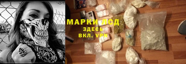 ПСИЛОЦИБИНОВЫЕ ГРИБЫ Новозыбков