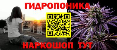 прущие грибы Краснознаменск