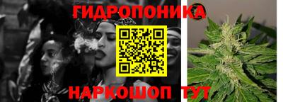 прущие грибы Краснознаменск