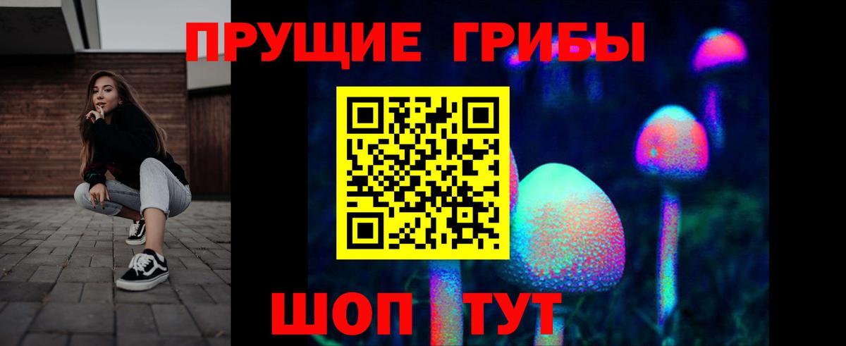 Галлюциногенные грибы Psilocybe Ржев